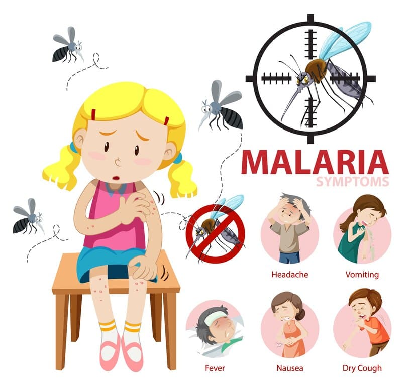 Signs And Symptoms Of Malaria